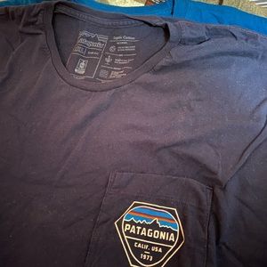 Patagonia organic cotton tee